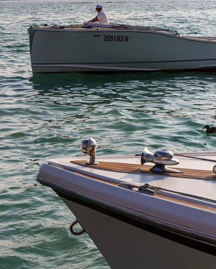 Group tour esclusivo: l'Isola del Garda e Gardone Riviera da Sirmione 14